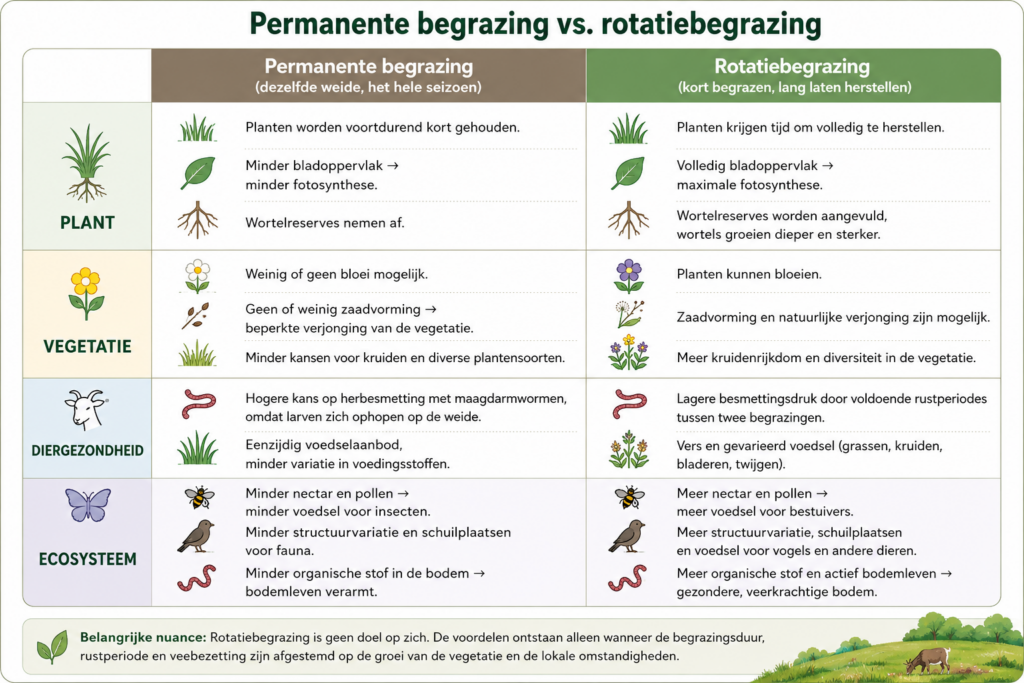 vergelijking tussen permanente begrazing en rotatiebegrazing