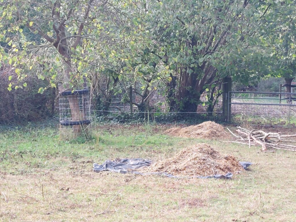 Hakselhout, de basis voor nieuw strooisel in de stal